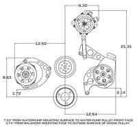 Chevy Big Block Serpentine Conversion Kit - Alternator Only, Long Water Pump - Polished