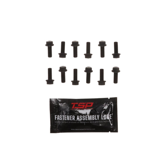 Pro Series GM Gen III/IV LS Camshaft Sprocket 12-Point Bolt Kit