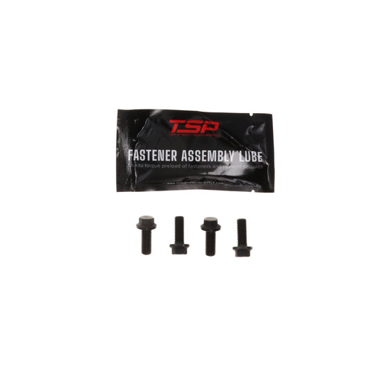 Pro Series GM Gen III/IV LS Cam Retainer Plate Bolt Kit