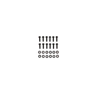 Pro Series GM Gen III/IV LS Header Bolt Kit