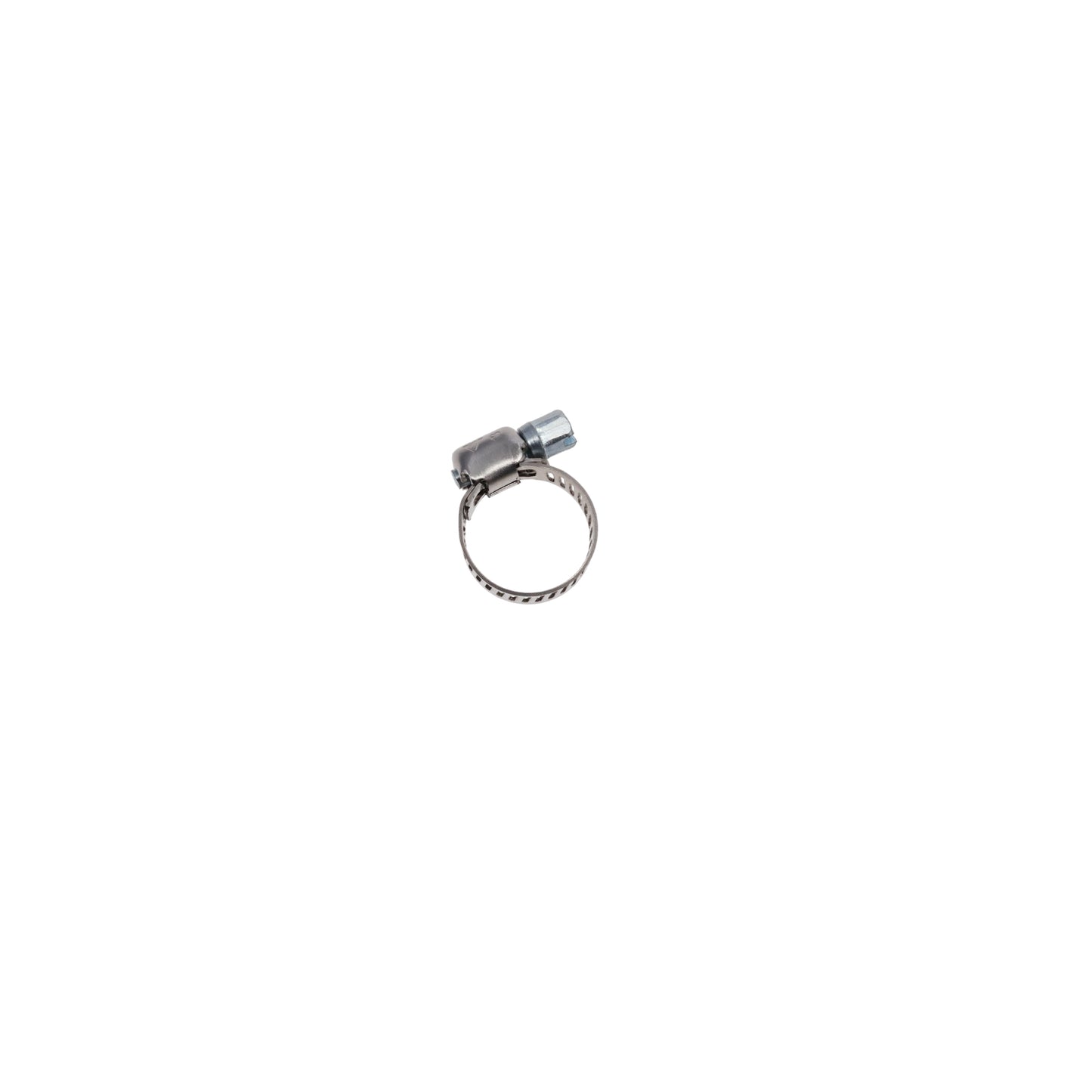 3/8 in. to 3/4 in. OD Zinc Plated Stainless Steel Hose Clamp