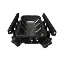 GM LS Gen III Cathedral Port Carbon Fiber Low-Rise Intake Manifold